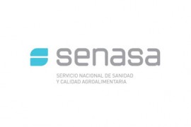 Resol. 295 de SENASA - Prórroga vencimientos habilitaciones al 31-7-2020